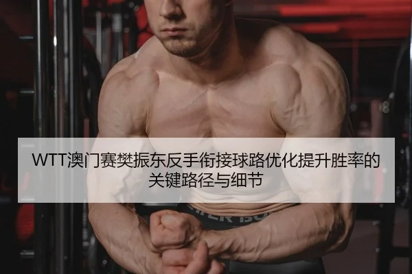 ao-men-sai-fan-zhen-dong-fan-shou-xian-jie-qiu-lu-you-hua-ti-sheng-sheng-lv-de-guan-jian-lu-jing-yu-xi-jie-2-681.jpg